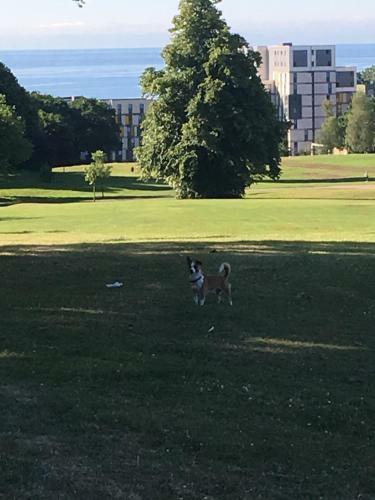 Wynberg House A Bed & Breakfast