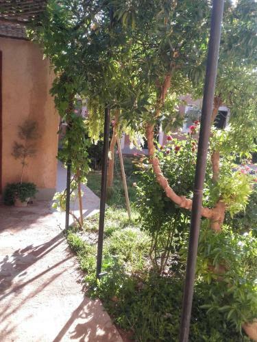 Albergue Auberge Toda