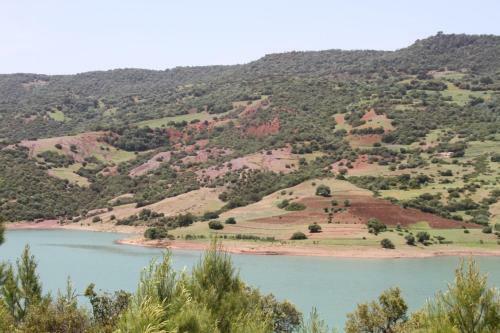 Posada Tahla Garden