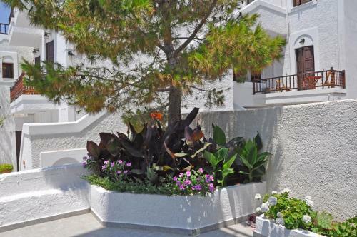 Hotel Studios Akrogiali