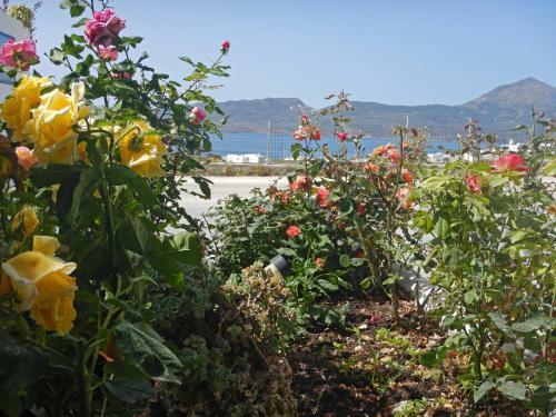 Bed & Breakfast Christos Rooms Milos