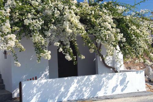 Bed & Breakfast Christos Rooms Milos