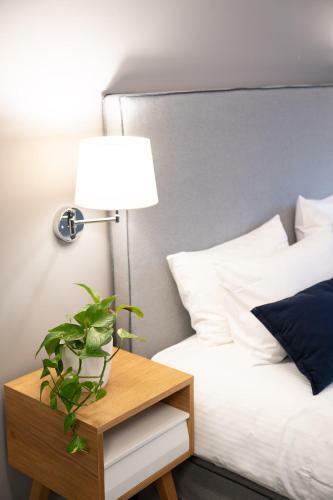 Chroma Fashion Rooms & Apartments