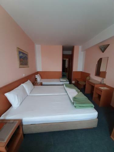 Hotel Molika