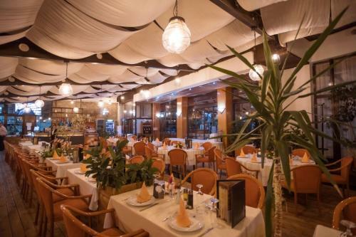 Hotel Molika