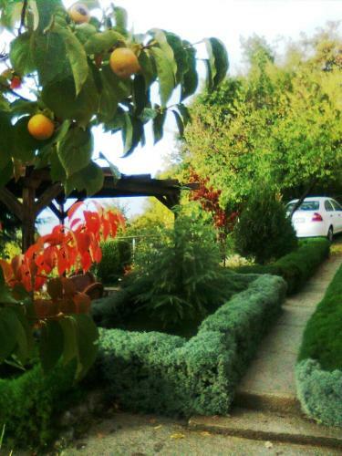 Apartamentos Vila Anastas