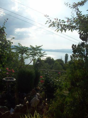 Apartamentos Vila Anastas
