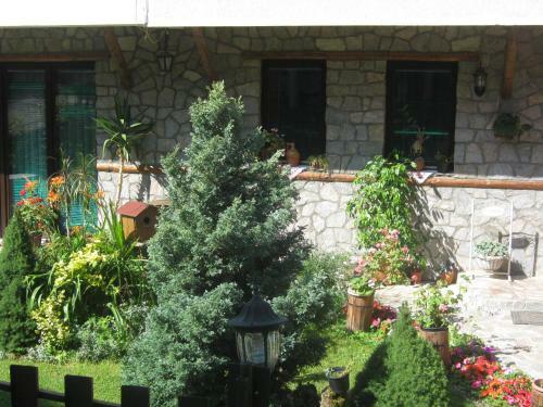 Hostal Risto's Guest House