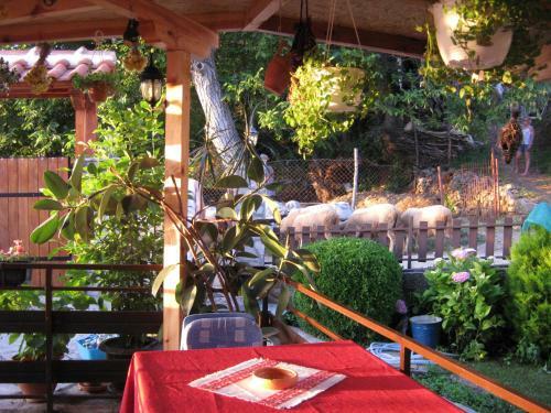 Hostal Risto's Guest House