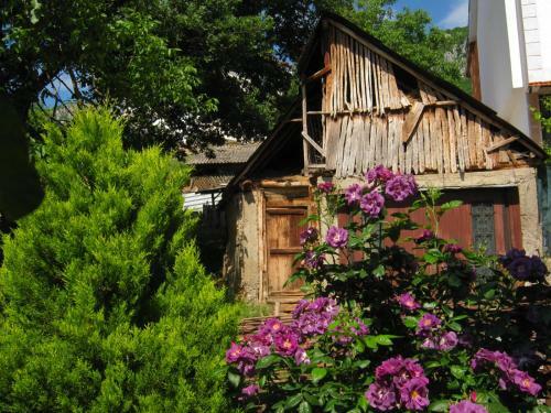 Hostal Risto's Guest House