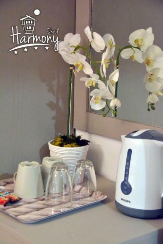 Hostal Villa Harmony
