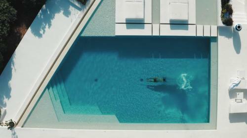 Hotel The Island Concept