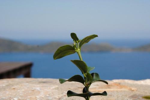 Luxury Crete Villa Two Bedroom Villa Private Pool Sea Views Elounda
