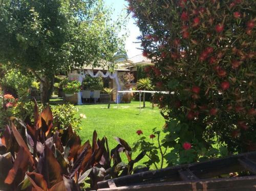 Garden Village Studios & Apartments