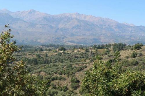 Vassiliki Traditional House Mountain & Field View