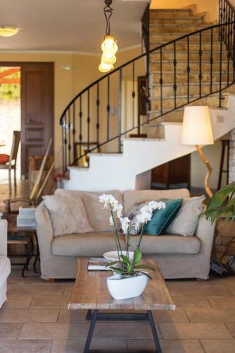Villa Dendrilia By Rodostamo Hotel