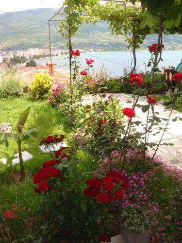 Bed & Breakfast Villa Saraj
