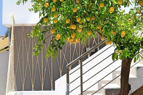 Hotel Chania Design Suites