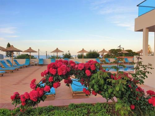 Bomo Chrysalis Hotel