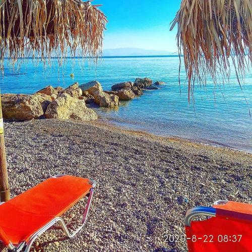 Hotel Marzi Beach And Bungalows