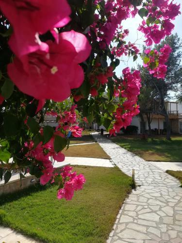 Hotel Marzi Beach And Bungalows