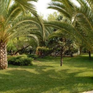 Hotel Marzi Beach And Bungalows