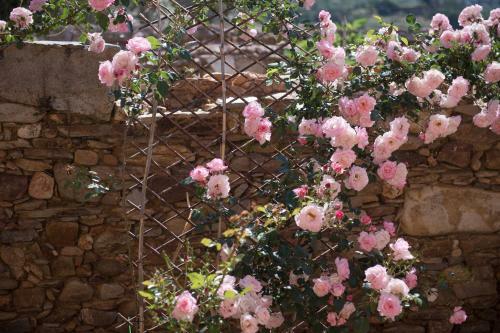 Apartamento Lameriana Secret Village