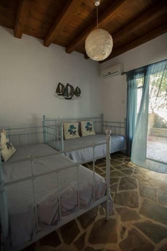 2ag252-house With A Pool In Andros