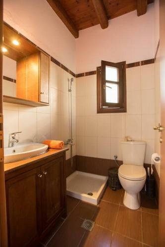 2ag252-house With A Pool In Andros
