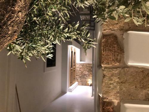 Kostis Parthenis Residence
