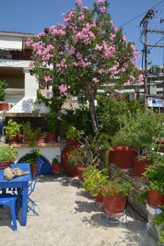 Traditional Summer House In Marmari