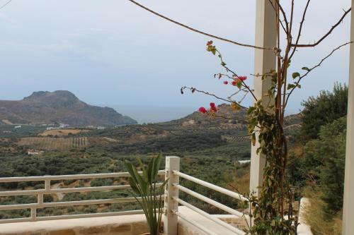 Villa Anasa - Private Swimming Pool