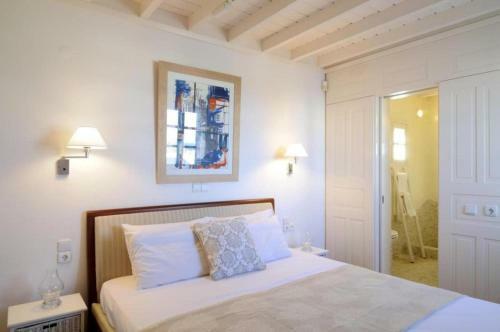 Fully Flexible Policy!! Manu Quality Brand Villa Mykonos