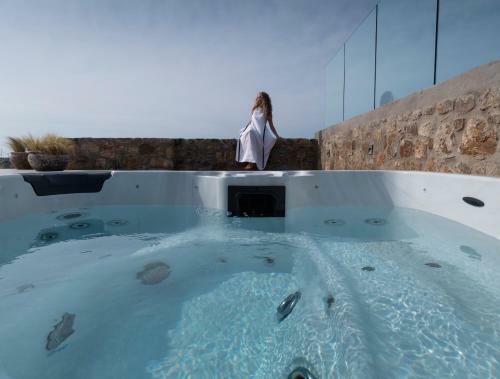 Villa Frederica In Mykonos