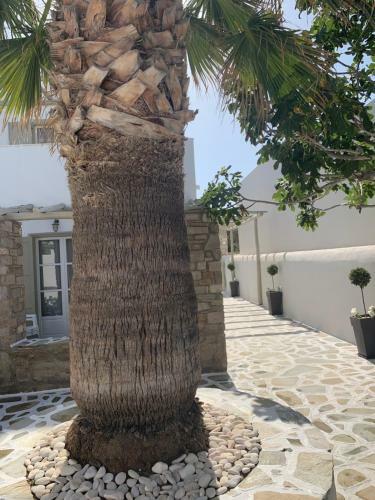 Hotel Sea & Sun Paros