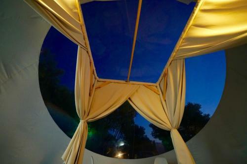 Bubble Suites