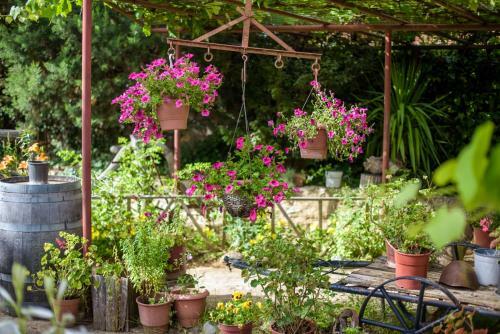 Hostal Guesthouse Alexandros