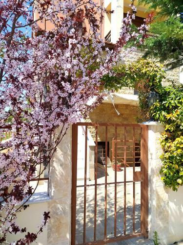 Villa Moderna