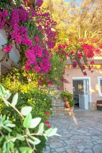 Holiday Apartments Tonia - Pelekas Beach, Corfu