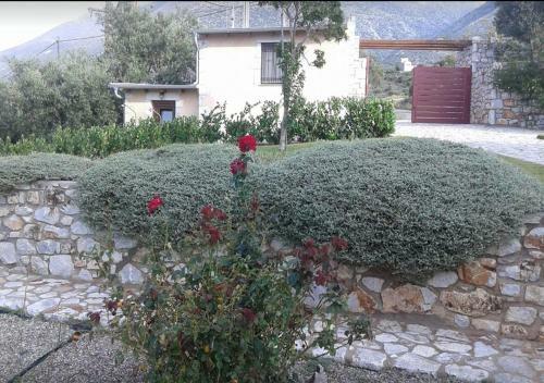 Hostal Focalion Castle Luxury Suites