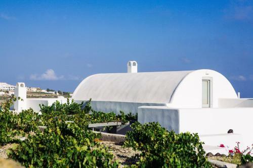 Vineyard Cycladic House
