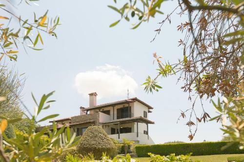 #flh - Villa Olive
