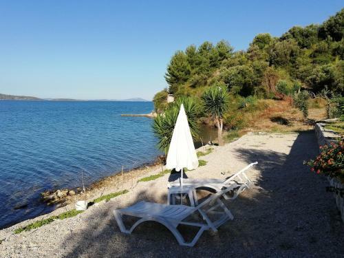 Hostal Plataria Palace