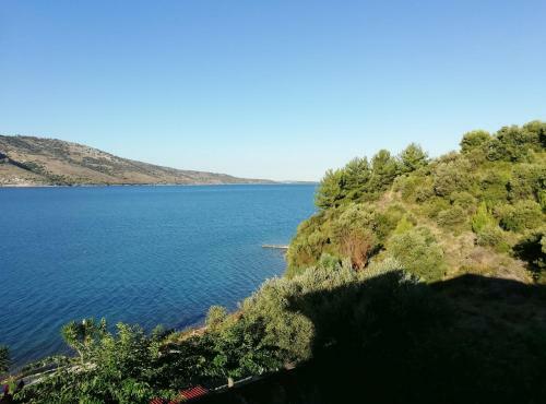 Hostal Plataria Palace