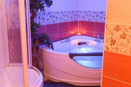 Hotel Vetra