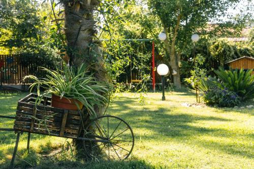 Hostal Katia Studios
