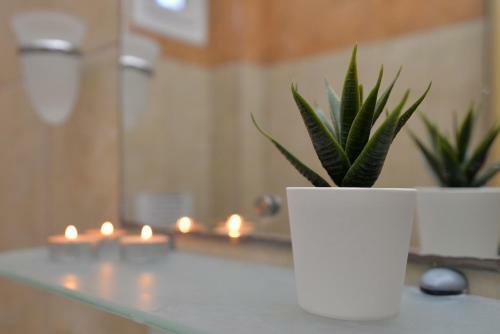 Apartamento Vila Elvina