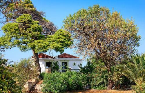 Villa Vainas House