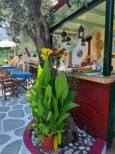Apartamento Pension Soula
