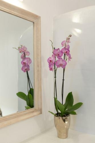 Apartamento Doukas Caldera Suites
